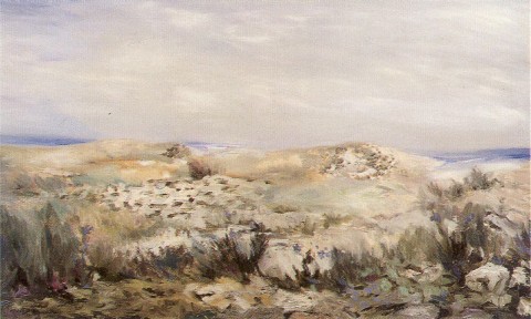 Las Dunas