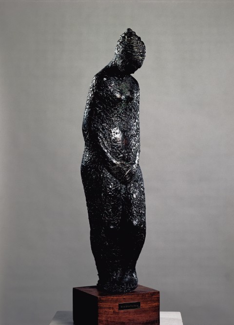 Desnudo